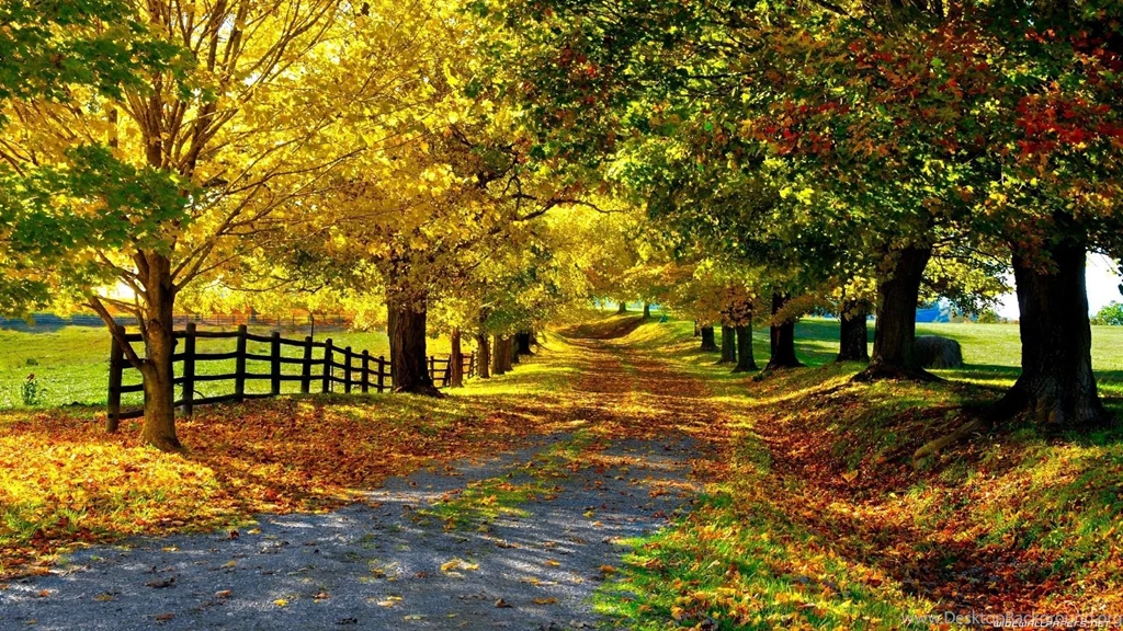 Beautiful Nature Wallpapers With Trees And Grass