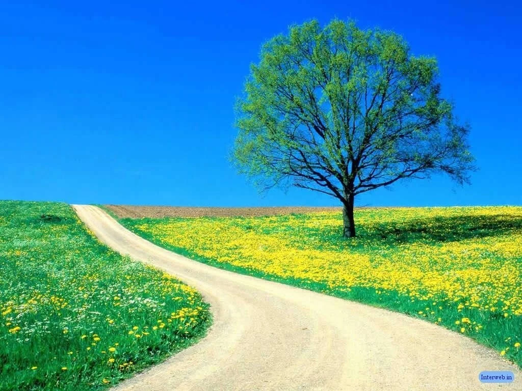 Nature Wallpapers Dr. Odd