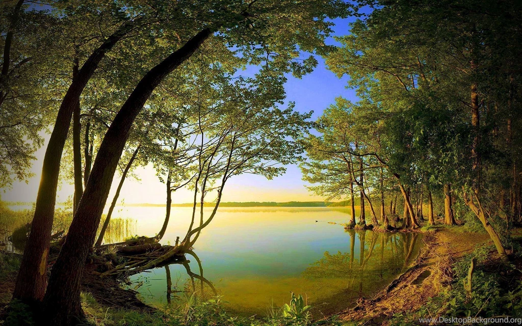 Wallpapers Nature Download_nature Wallpaper_download Free Wallpapers
