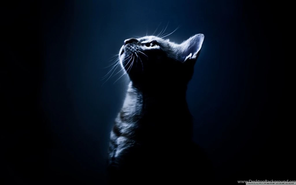 Desktop Wallpapers Dark