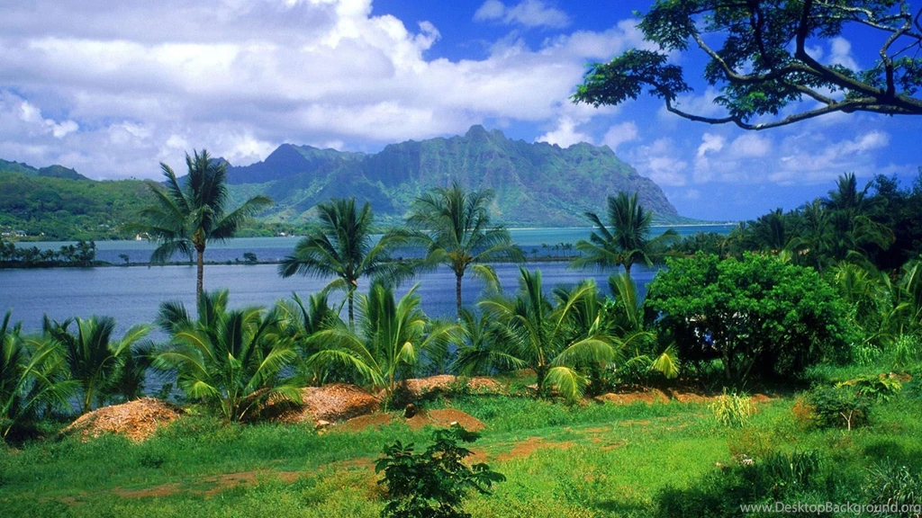 Wallpapers Nature Download_nature Wallpaper_download Free Wallpapers