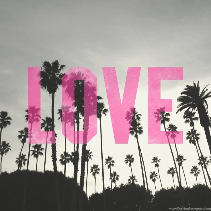 Pink Wallpapers 62b Wallpapers Six