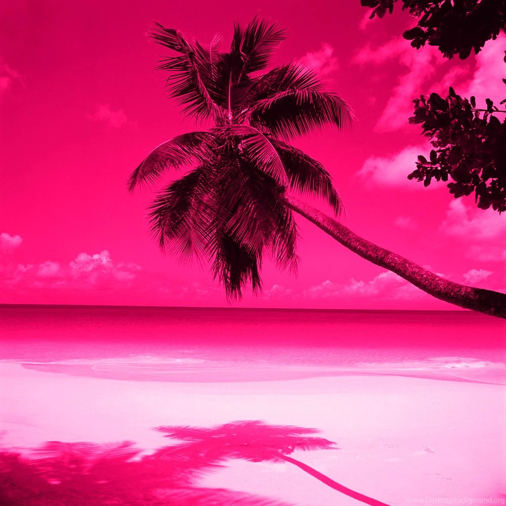 Pink Wallpapers 62b Wallpapers Six