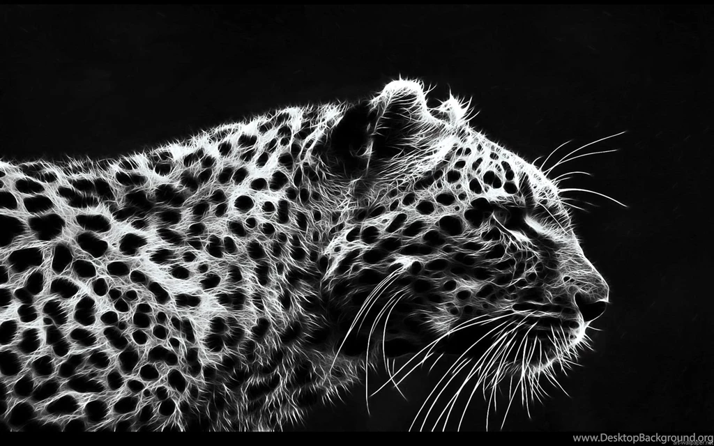 Best Wallpapers B5f Wallpapers Six