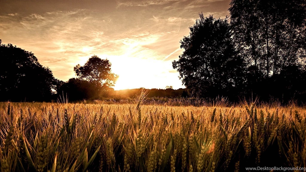 Best Wallpapers STAY001