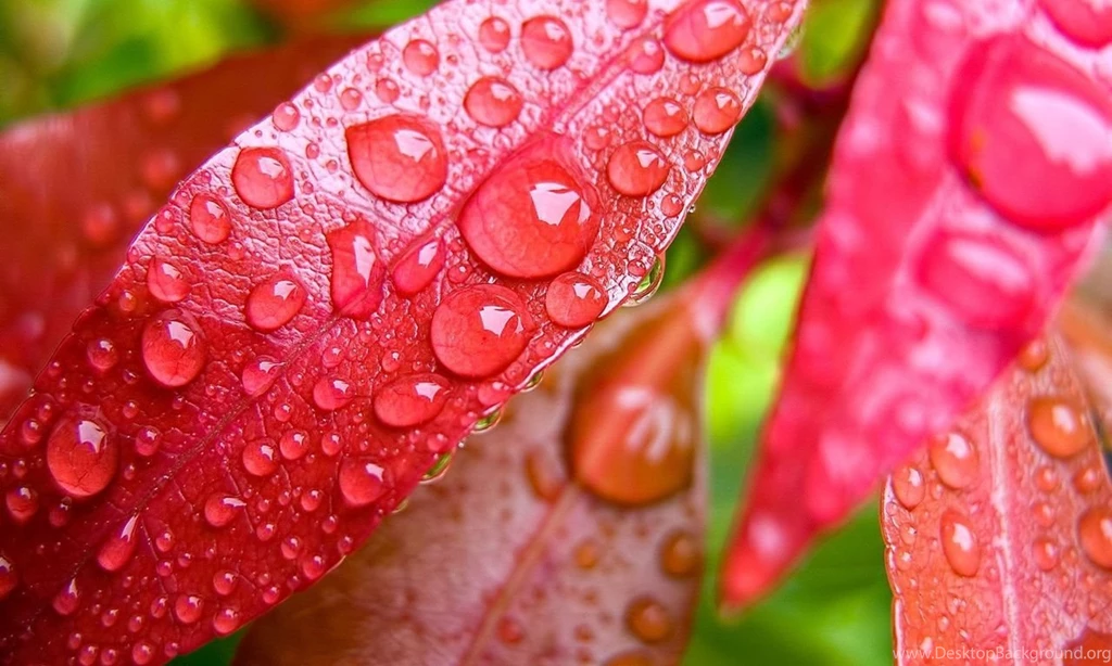 Best Wallpapers STAY024