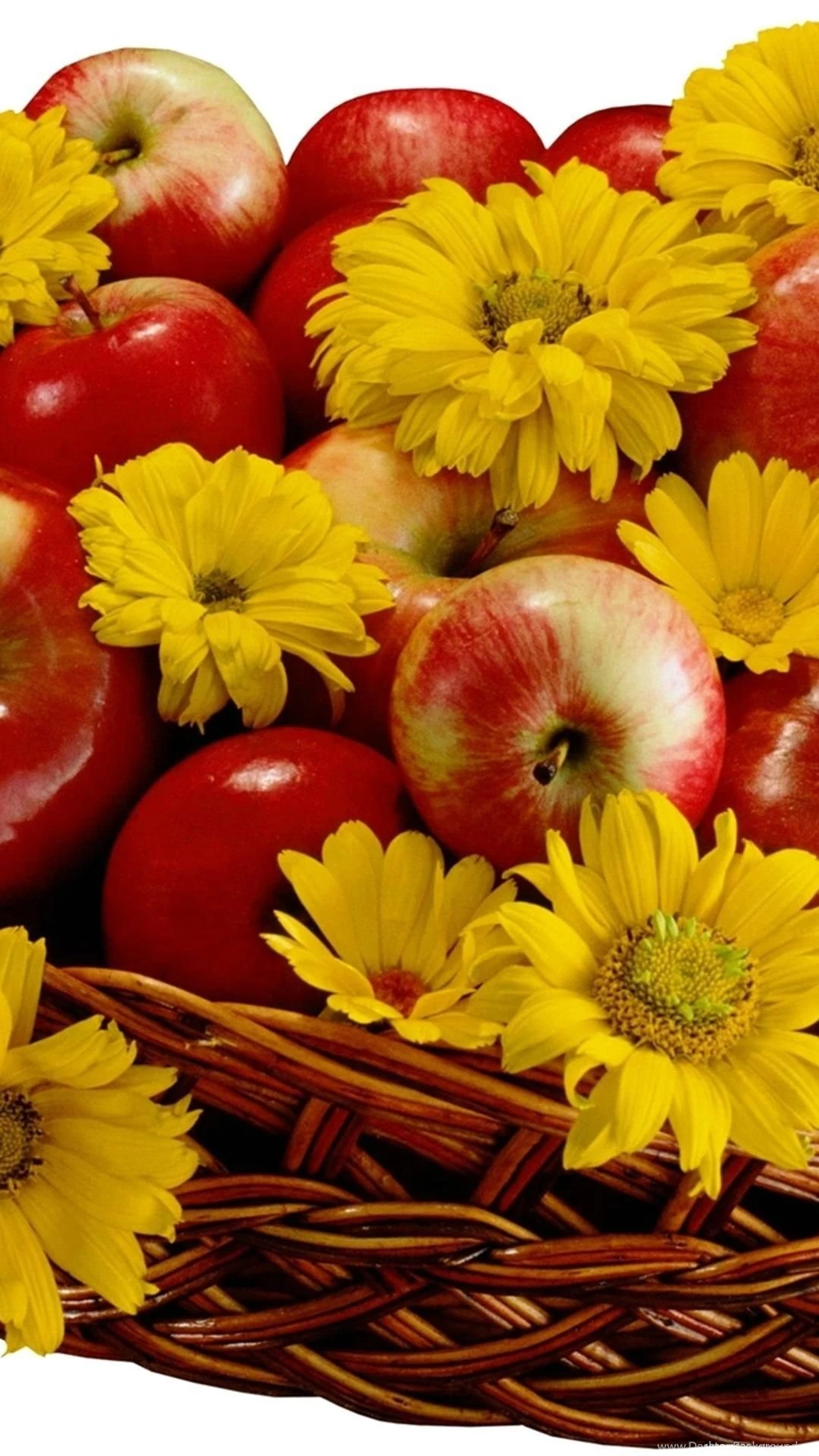 1080x1920 Apple Flowers Food Wallpapers HD