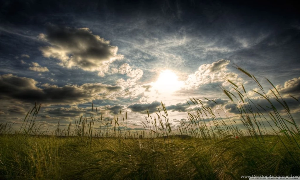 Peaceful Summer Day HD Desktop Wallpapers : Fullscreen : Dual Monitor