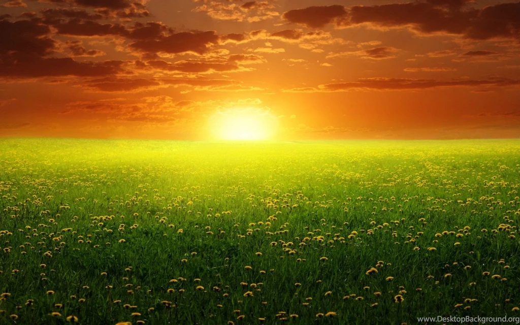 Sun Nature Peace Wallpapers