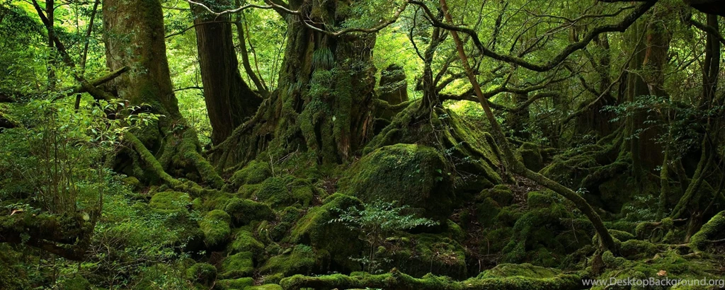 Earth Computer Wallpapers, Desktop Backgrounds