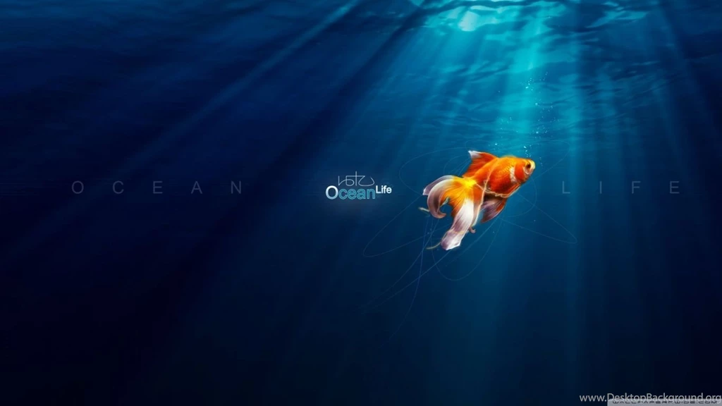 Ocean Life HD Desktop Wallpapers : Fullscreen : Mobile : Dual Monitor