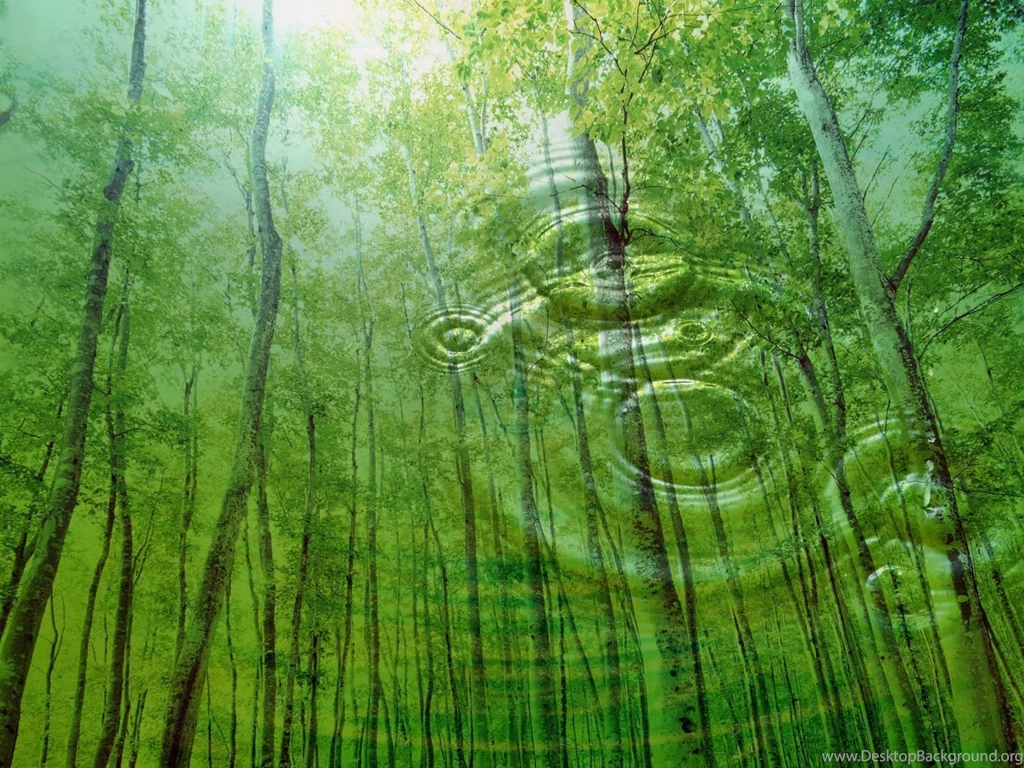 Desktop Backgrounds Nature