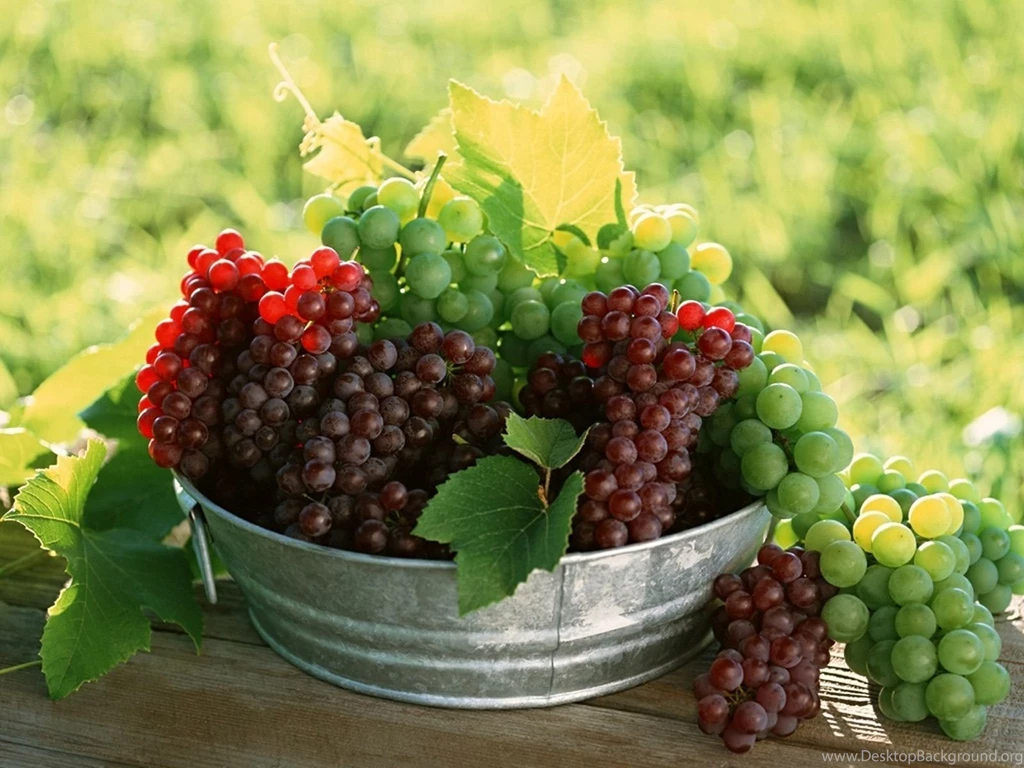 Fruits wallpaper hd.jpg • IBackgroundWallpapers