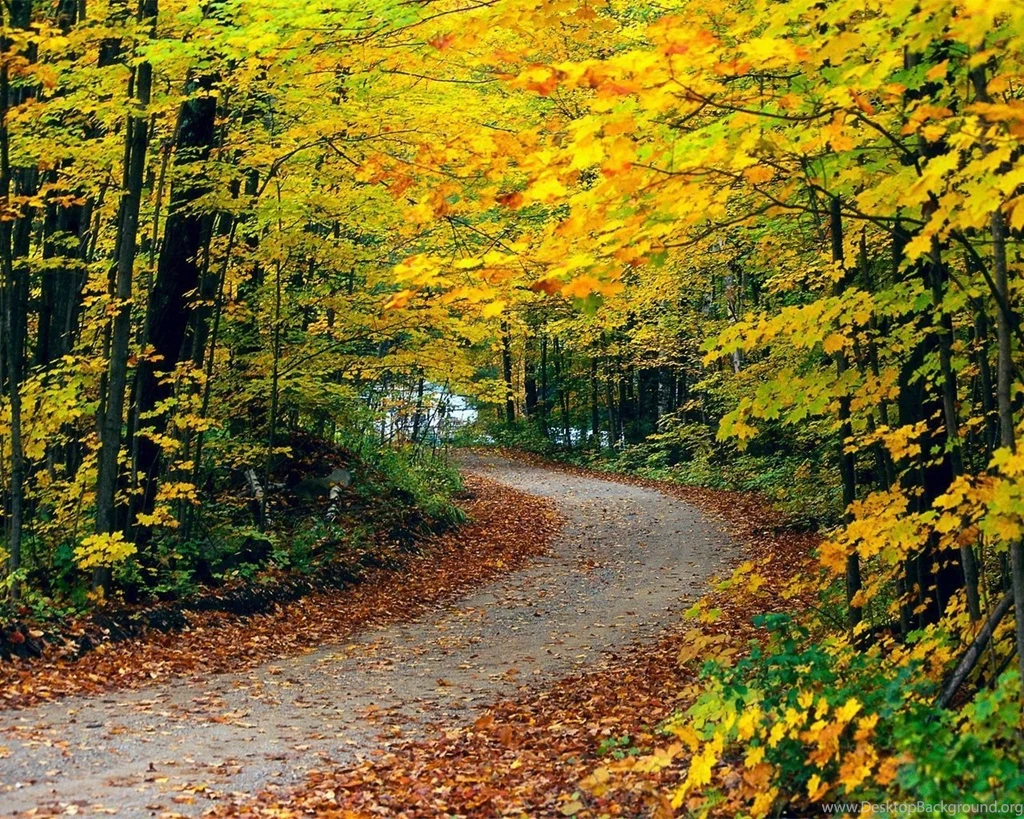 Free Desktop Nature Wallpaper Backgrounds   HD Images New