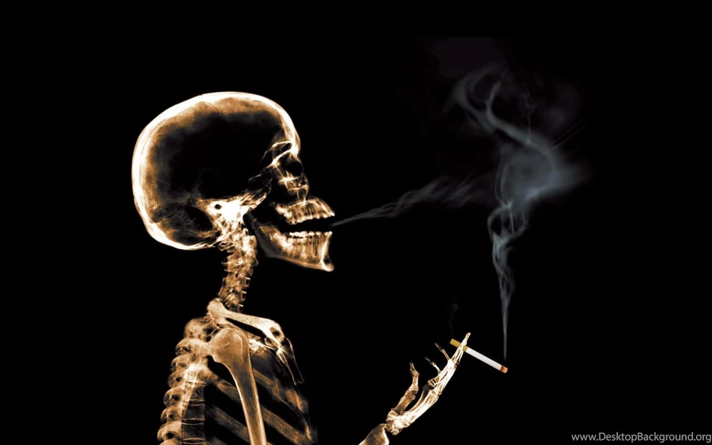 Creative Wallpapers Smoking 016472   обои на рабочий стол 1680x1050 ...