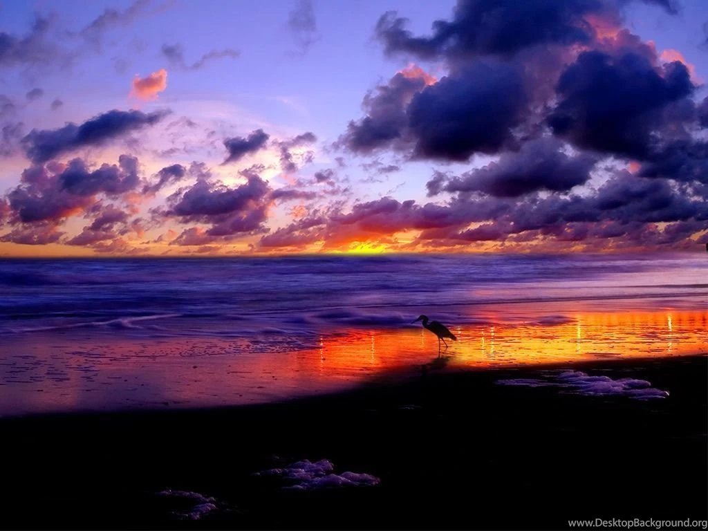 Computer Desktop Wallpapers Desktop Backgrounds