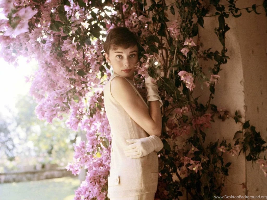 Audrey Portrait Audrey Hepburn Wallpapers (5315355) Fanpop