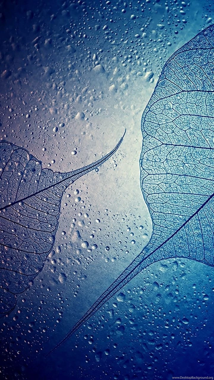 HD 720x1280 Wallpapers