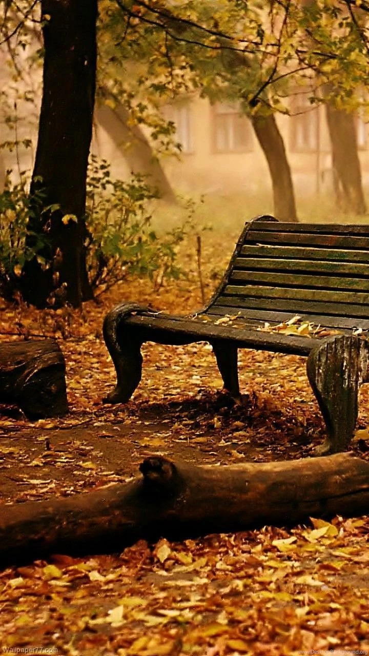 Old Bench, 720x1280 Pixels Wallpapers Free & High Quality ...