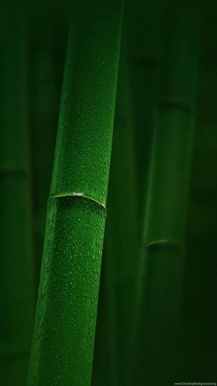 HD 720x1280 Wallpapers