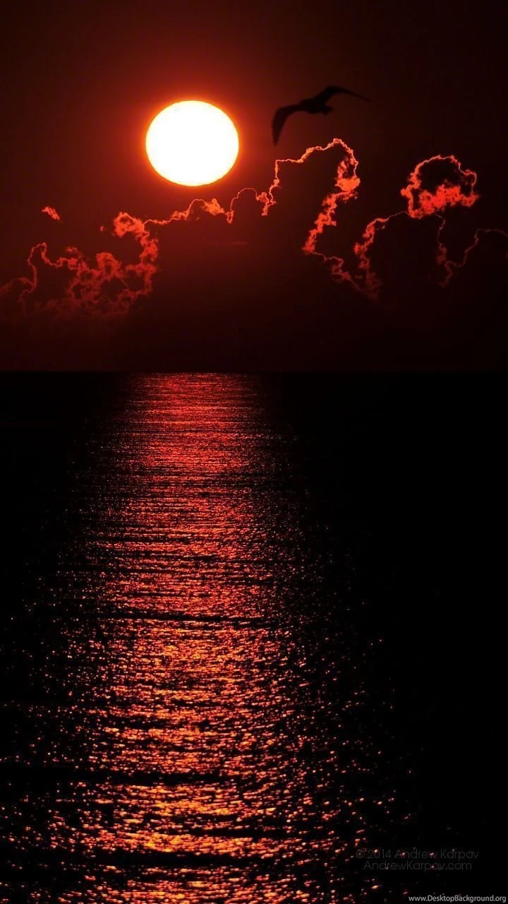 720x1280 Page 2 Of 23 123mobileWallpapers.com