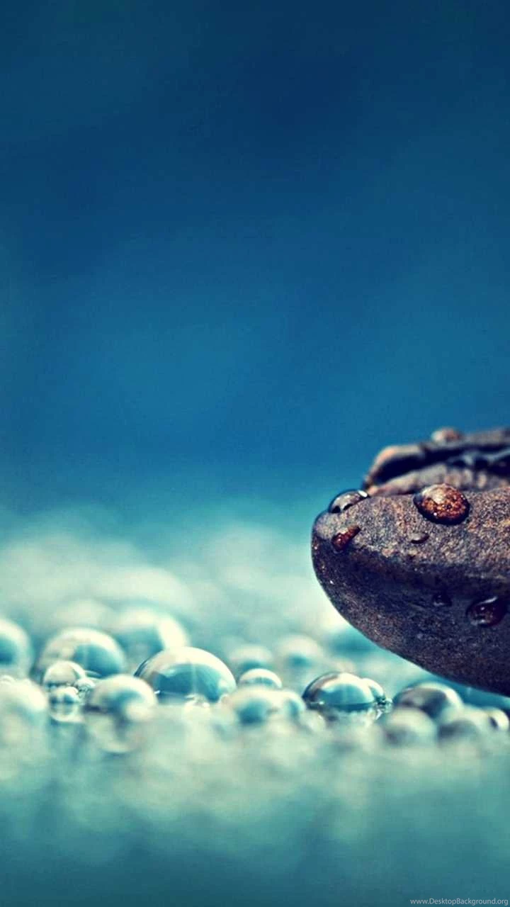 A coffee bean in the rain drops hd wallpaper 720x1280.jpg