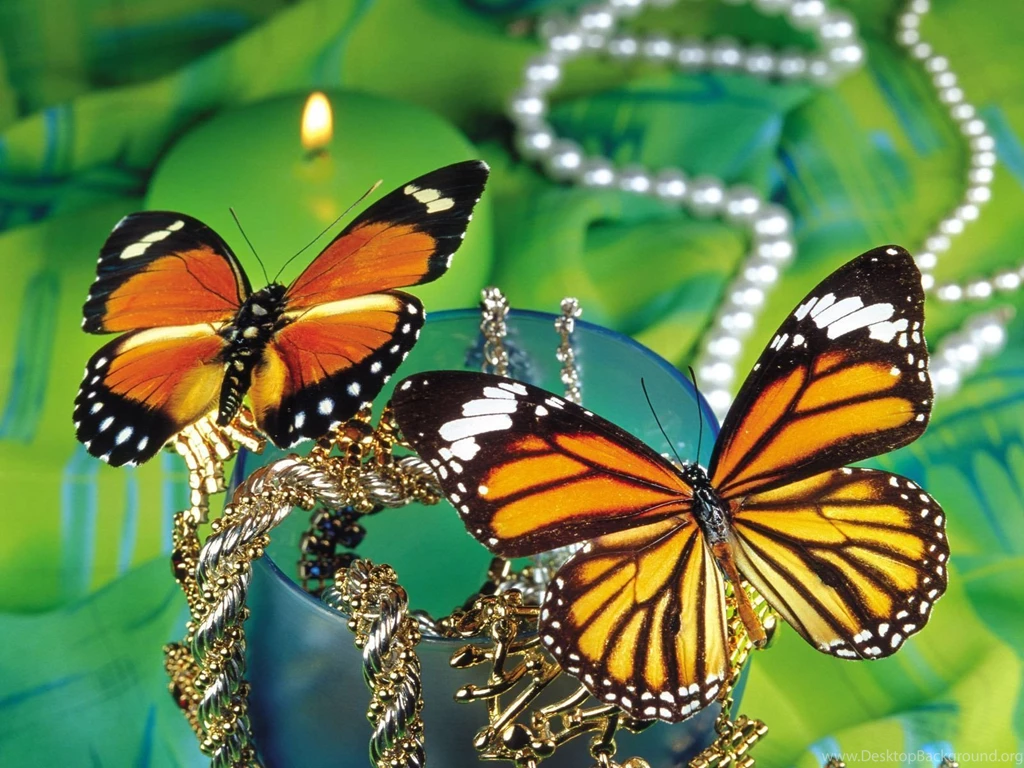 Desktop butterfly backgrounds free.jpg
