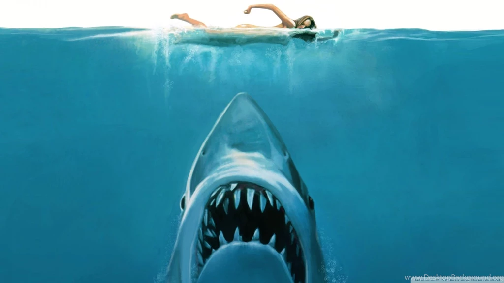 HD Quality Shark Wallpapers SiWallpapers Tag: 1