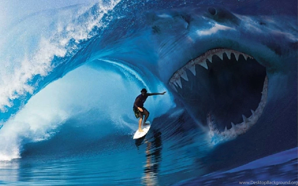Download Shark Attack Surfer Viehd Wallpapers 1680x1050