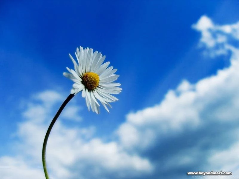 Desktop Wallpapers, Preeti Wallpaper, Superman Wallpaper, Free ...