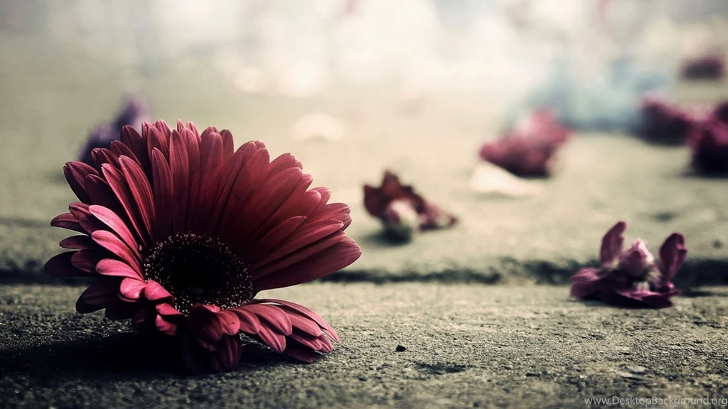 Vintage Desktop Backgrounds