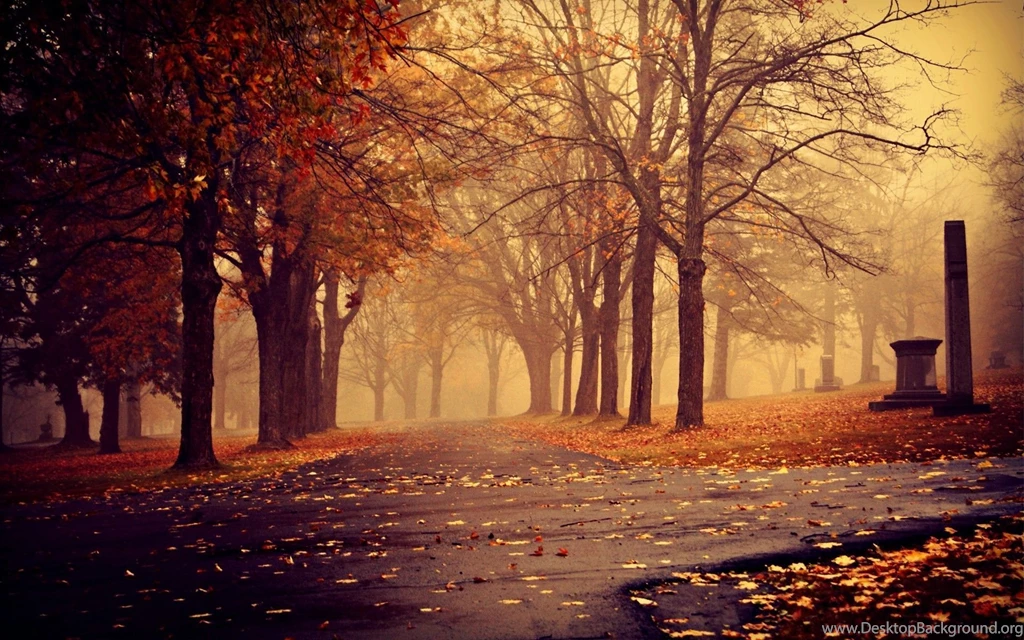 Top Scenic Fall Wallpaper Images For Pinterest