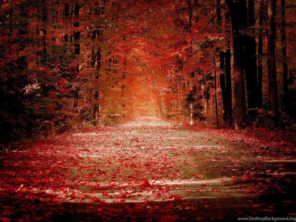 Autumn Wallpapers For Iphone 5