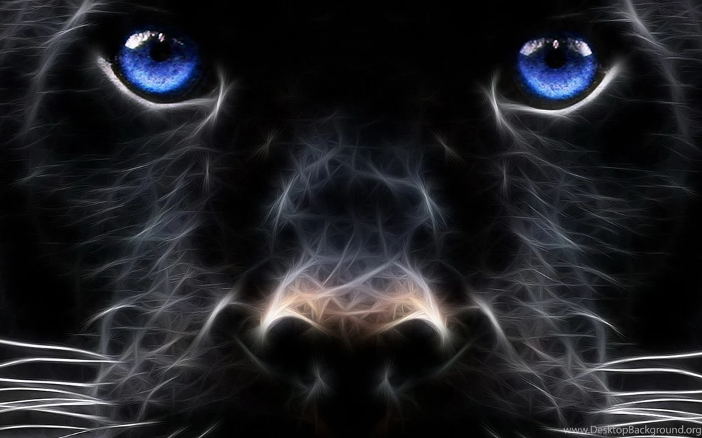 3D Wallpapers Wallpapers HD Base
