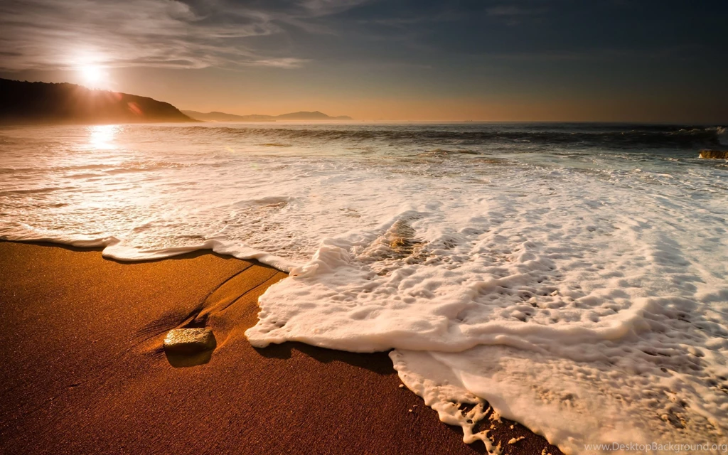 Surf Search Wallpapers