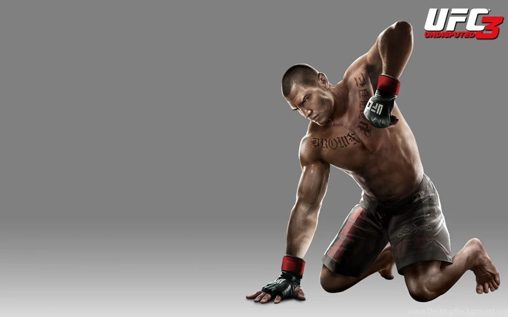 UFC High Resolution Wallpapers For Desktop Popomypics.com