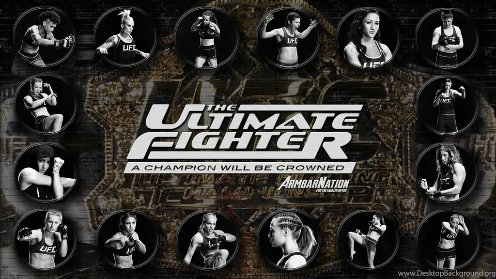 UFC Mma Fighting Martial Arts Wrestling Boxing Sexy Babe Poster ...