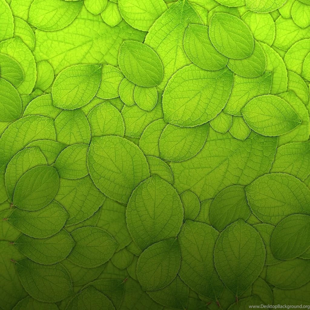 Texture iPad Wallpapers