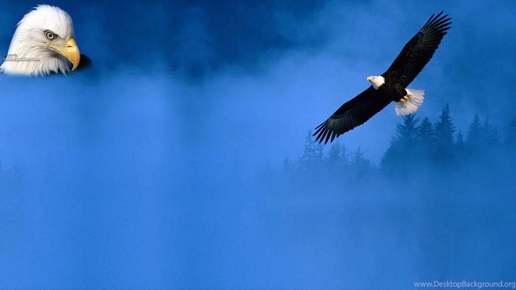 Wallpaper, Eagle, Flight, Desktop, Great (