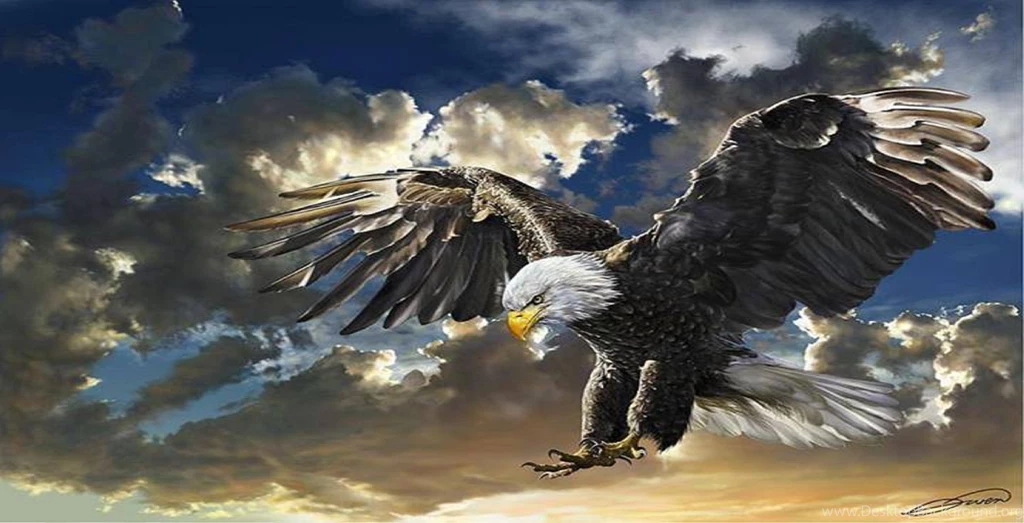 Eagle Desktop Wallpapers