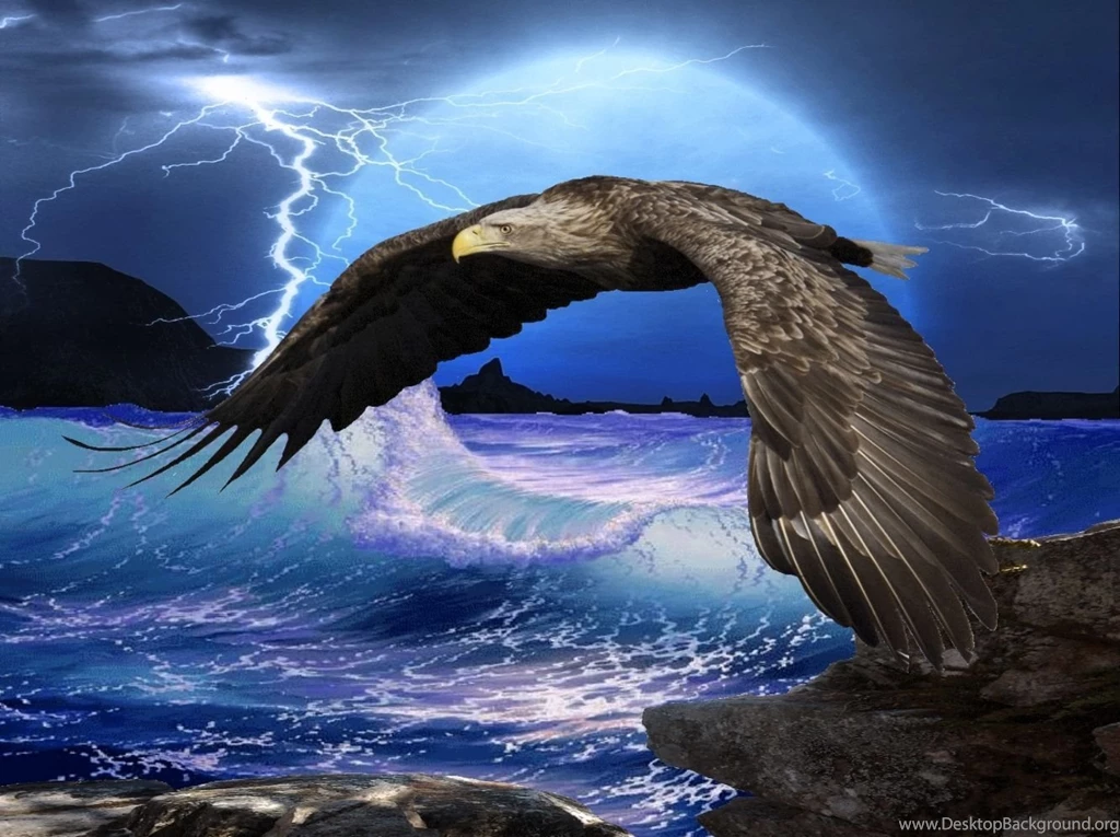 Eagle Computer Wallpapers, Desktop Backgrounds