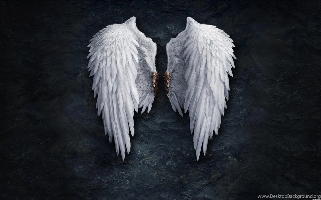 Angel Wings Wallpapers >> Backgrounds With Quality HD