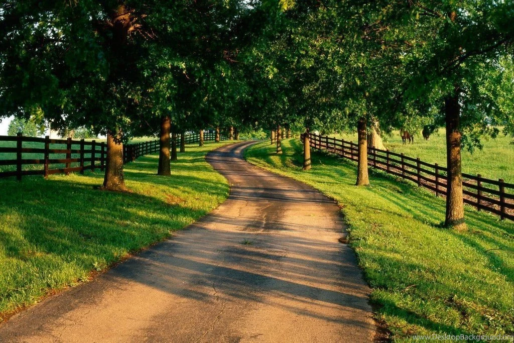 These Are Our Nature Backgrounds Including Some Beaches And Some ...