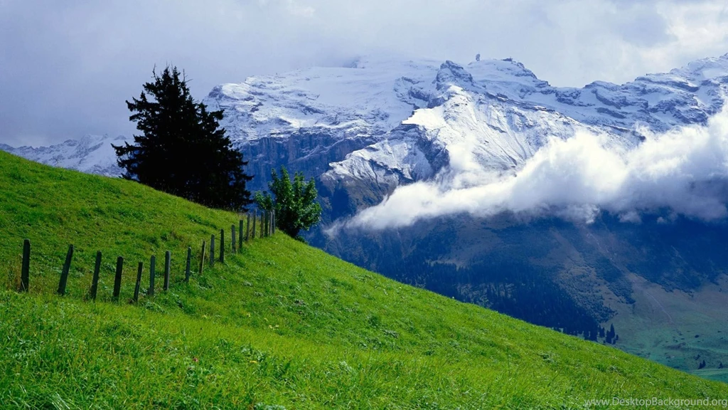 Nature Backgrounds 3623 Desktop High Definition Full Size ...