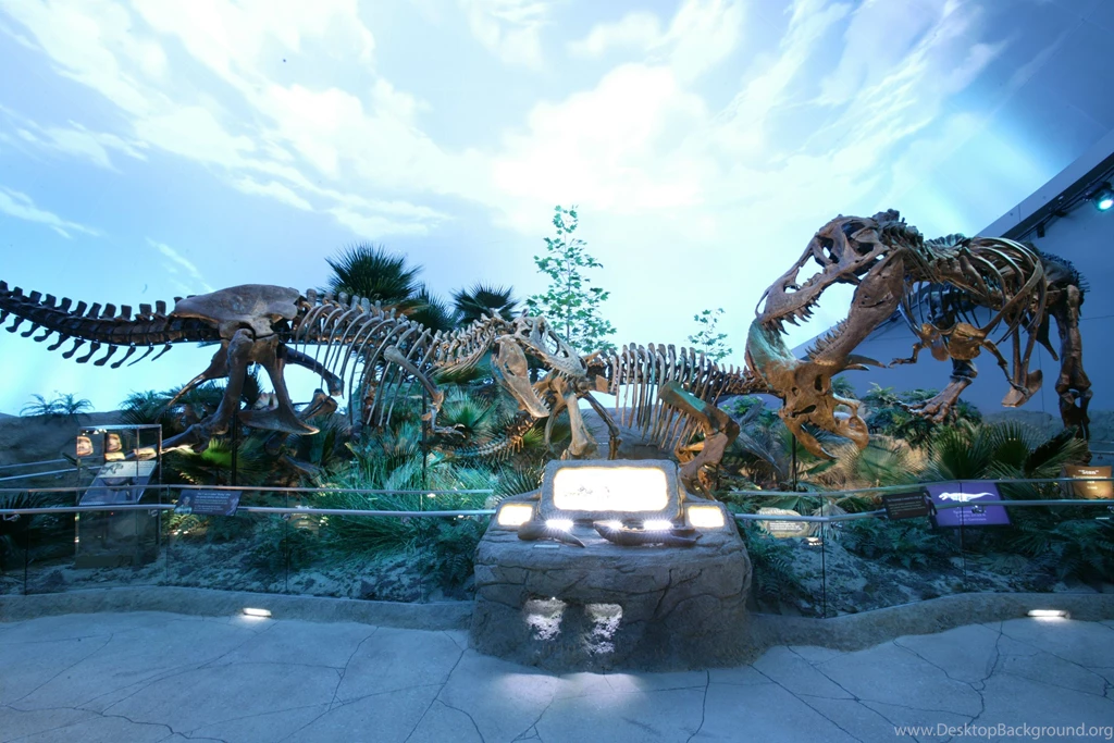 Dinosaur Wallpaper Backgrounds