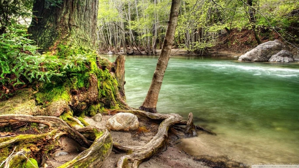 River Shore HDR HD Desktop Wallpapers : Widescreen : High ...