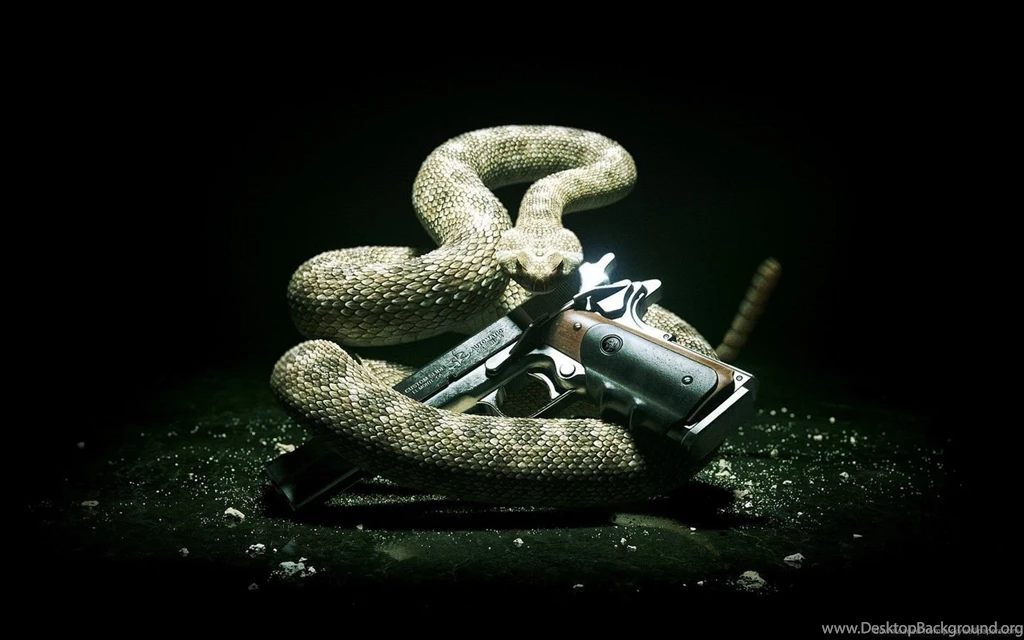 Cool Gun Backgrounds