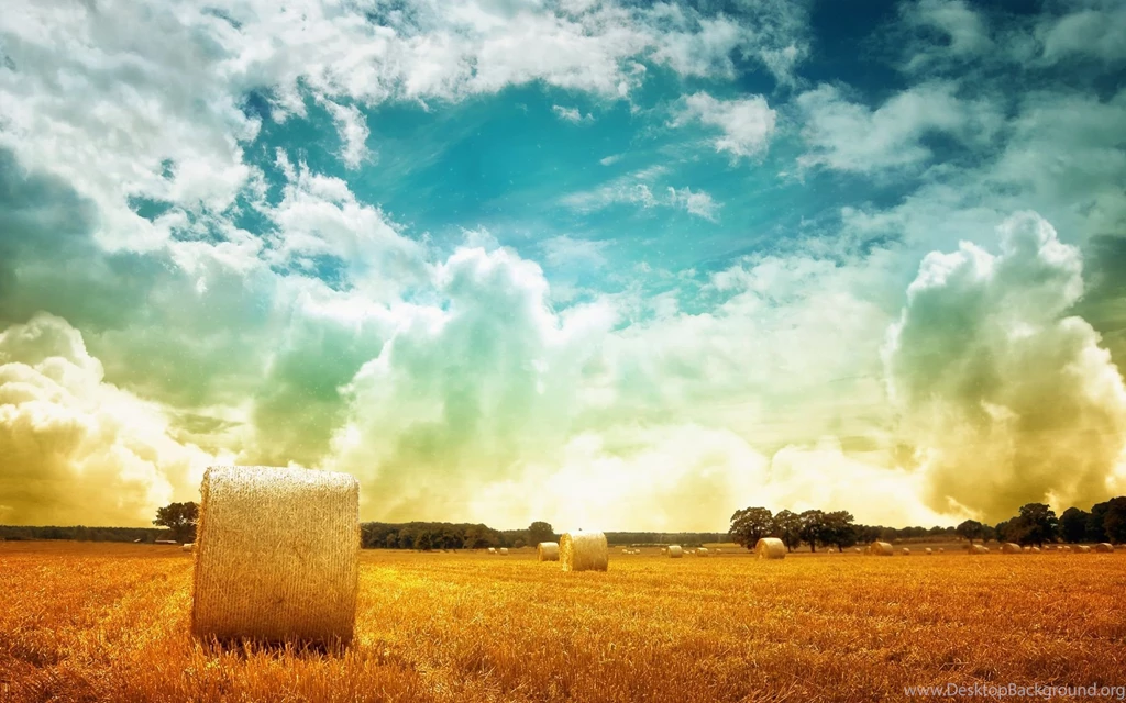 Nature Hd Wallpapers Widescreen 1858624