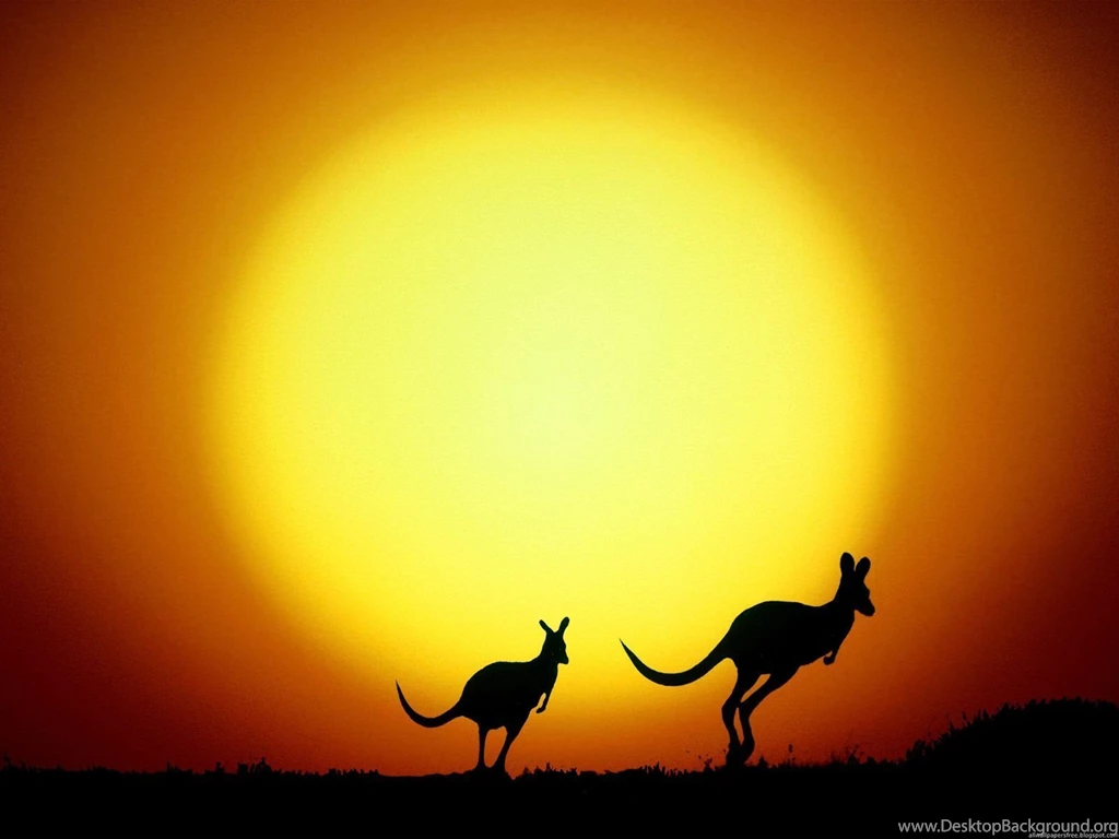 Wallpapers Australie Animaatjes 16 Wallpapers