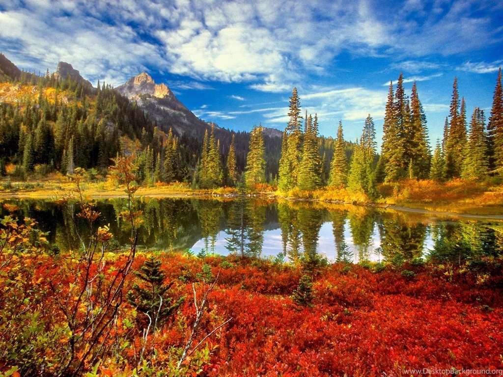 Phone Wallpapers: The Best Hd Wallpapers For Mac